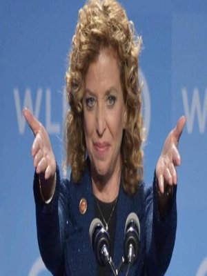cover image of Between the Devil and the DNC